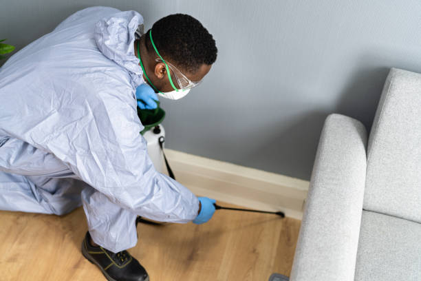 Best Bed Bug Extermination  in Darlington, WI